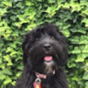 Meet your Posher, Daniela